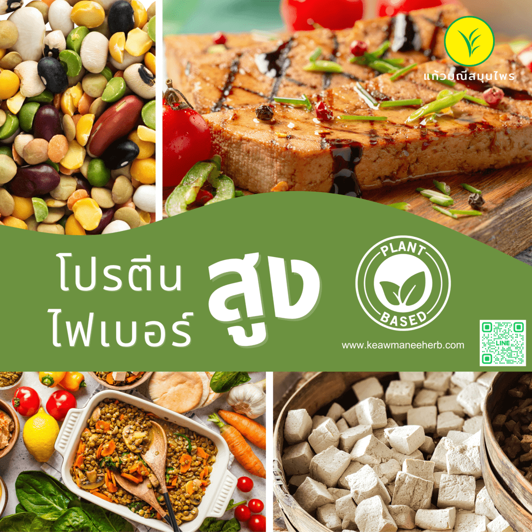 กินแบบ Plant - Based