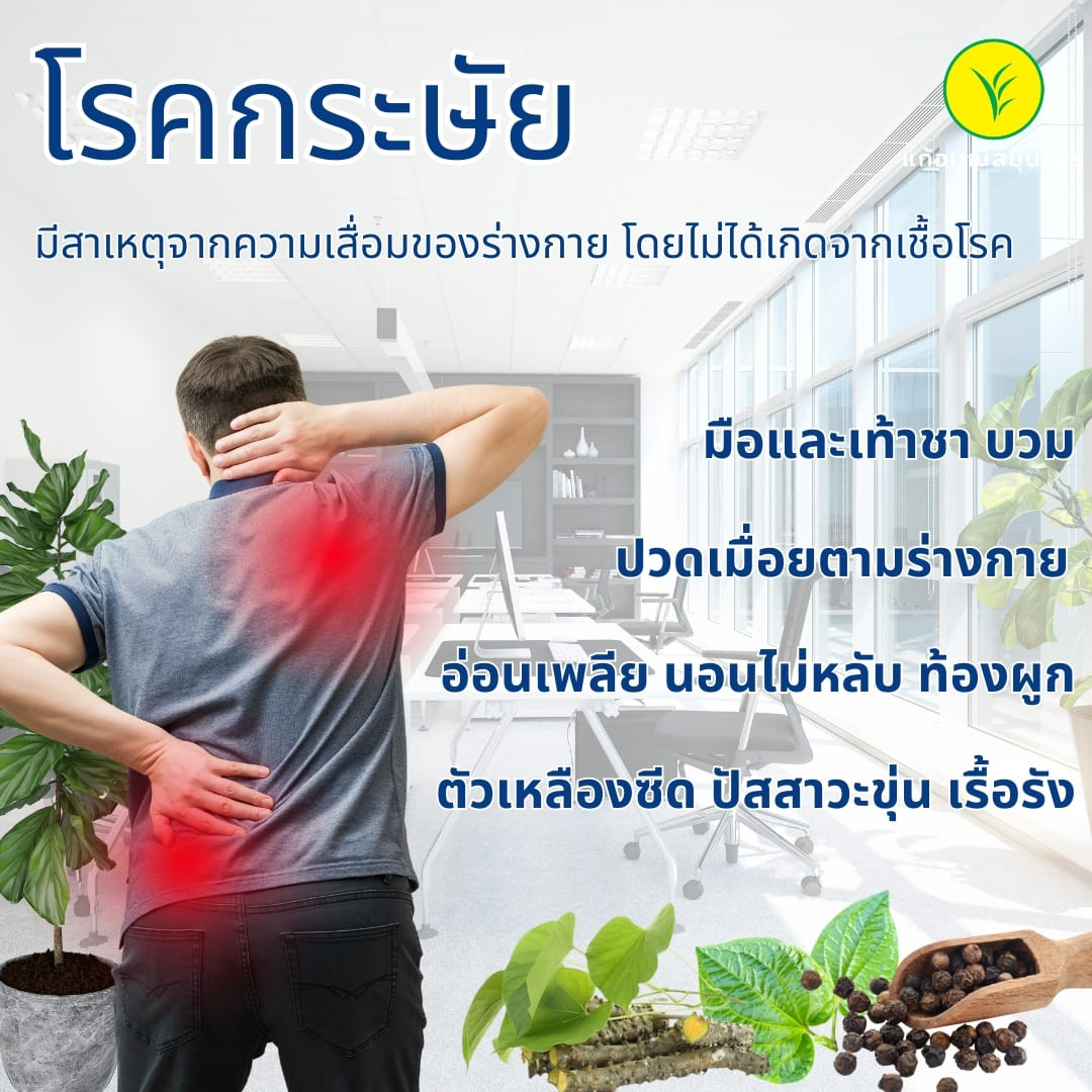 โรคที่เกิดกับทุกคนเมื่ออายุมากขึ้น