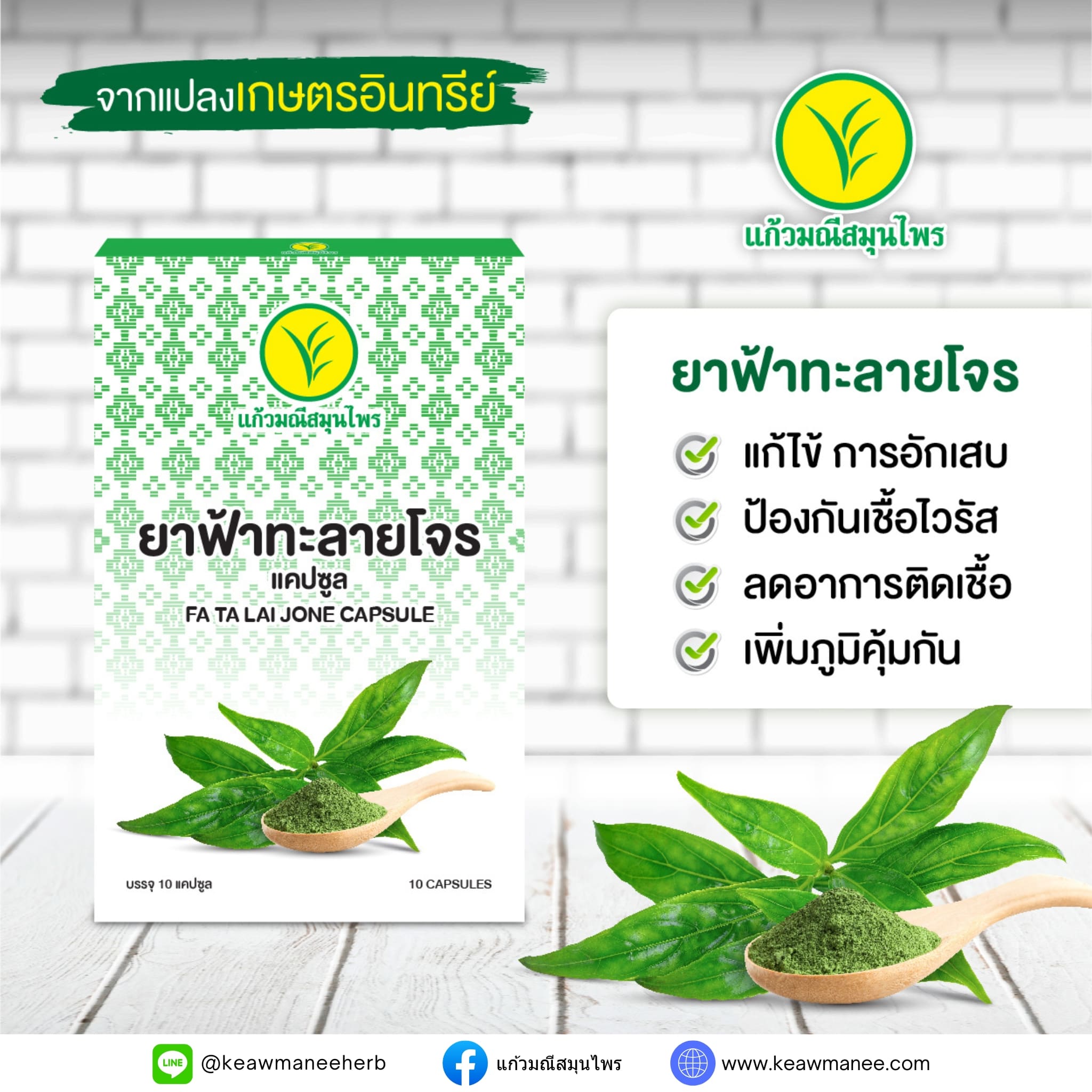 ยาฟ้าทะลายโจร แคปซูล / FA TA LAI JONE CAPSULE