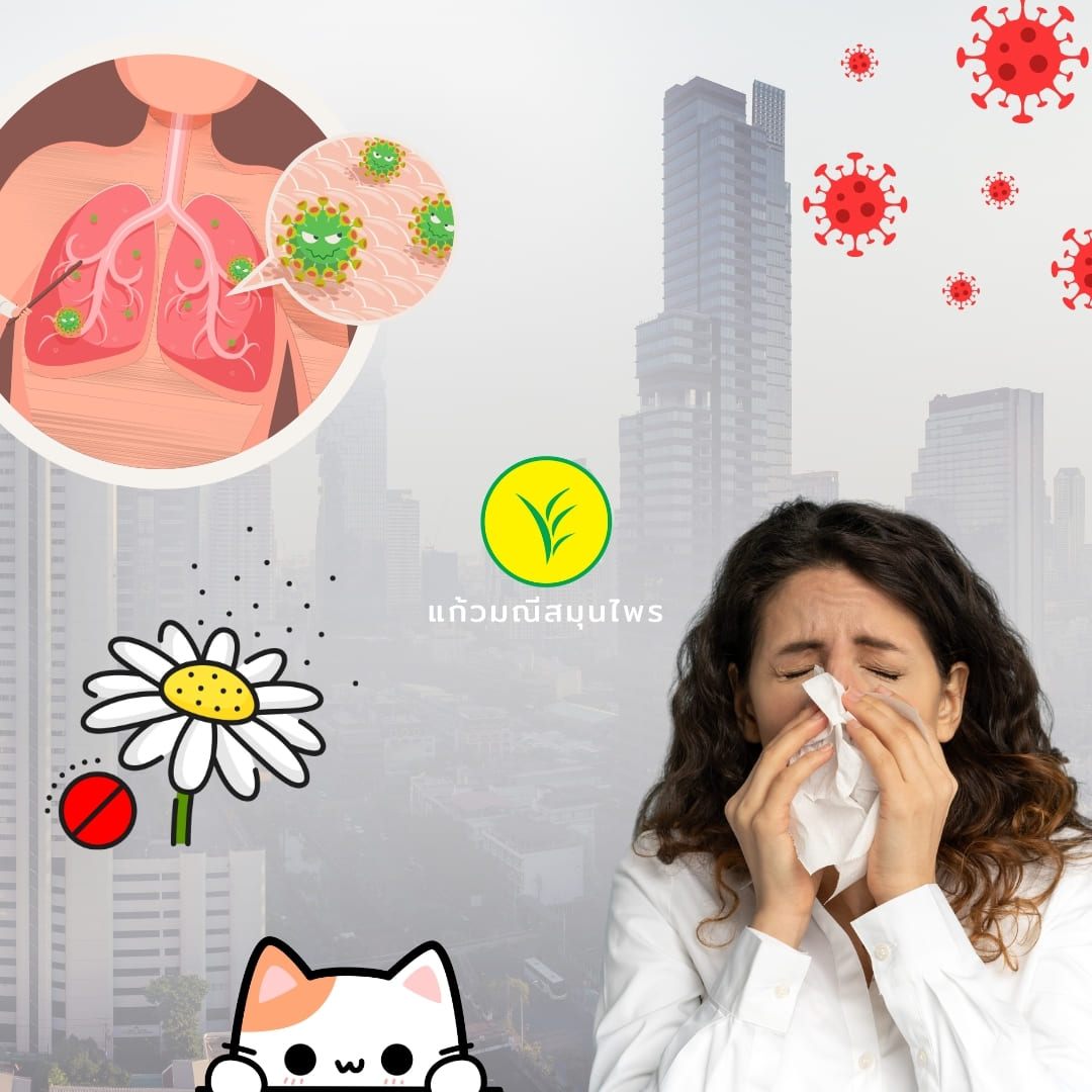 โรคภูมิแพ้ (Allergy)