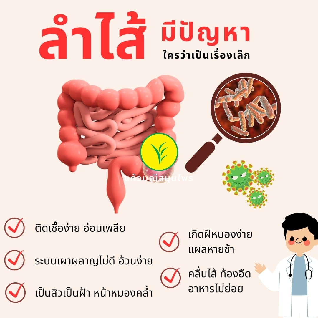ลำไส้มีปัญหา ใครว่าเป็นเรื่องเล็ก