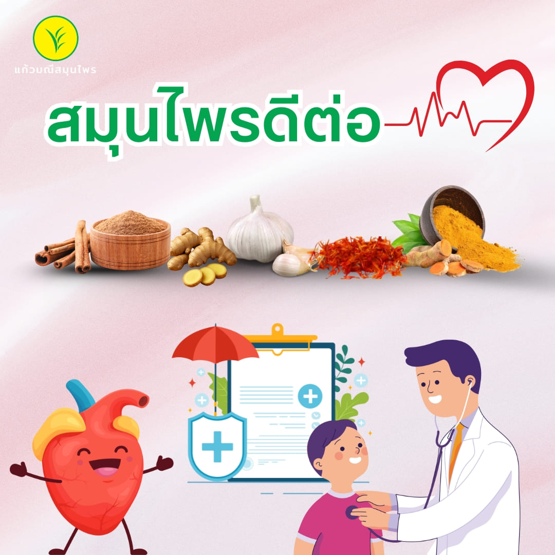 สมุนไพรดีต่อใจ