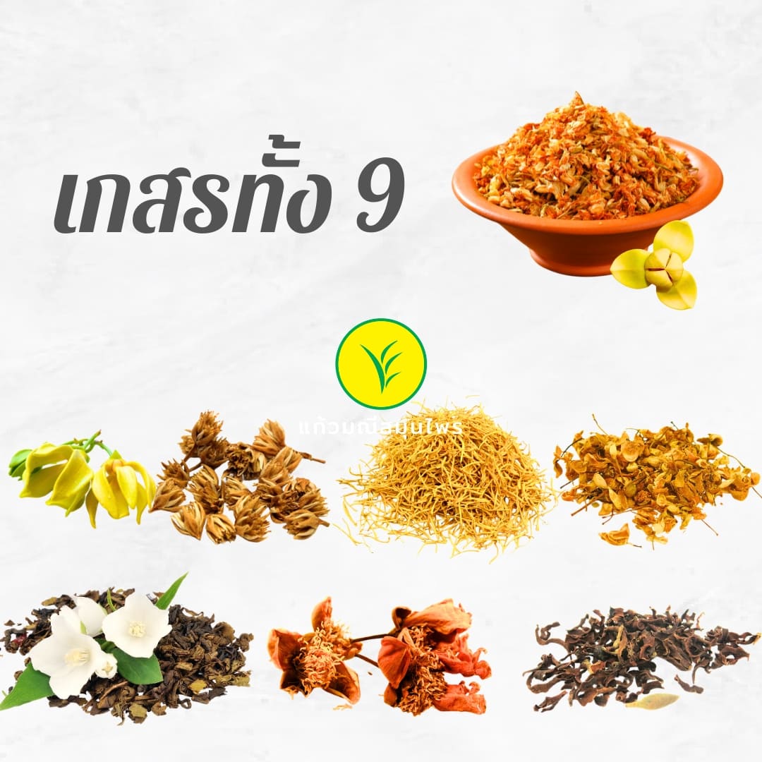 พิกัดเกสรทั้ง 9 นี้มีประโยชน์มากมายใช้ได้ทั้งชาย-หญิง 