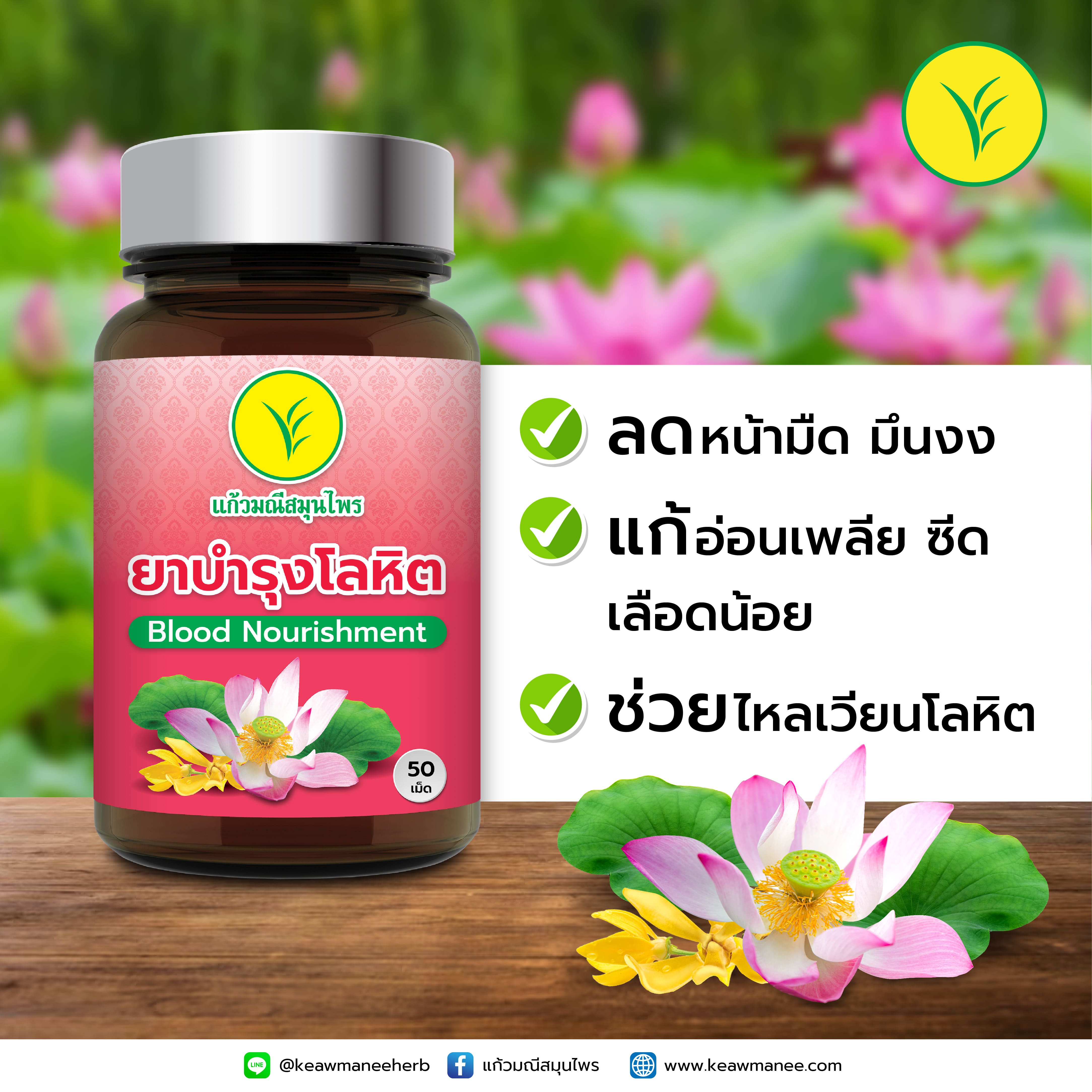 ยาบำรุงโลหิต ชนิดเม็ด