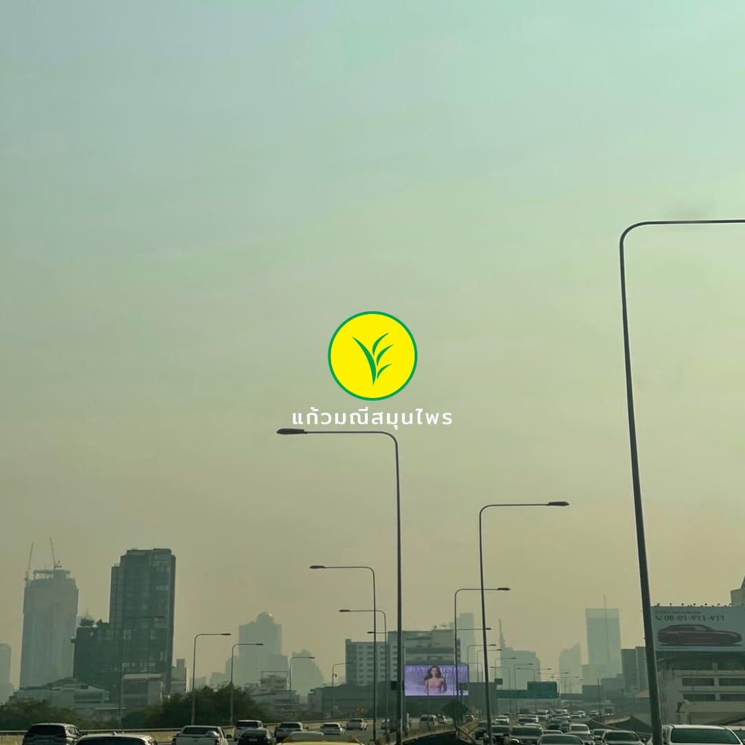  PM 2.5   ฝุ่นจิ๋วตัวร้ายที่ไม่ควรมองข้าม